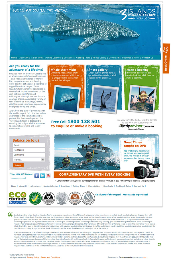 Three Island Whale Shark Dive